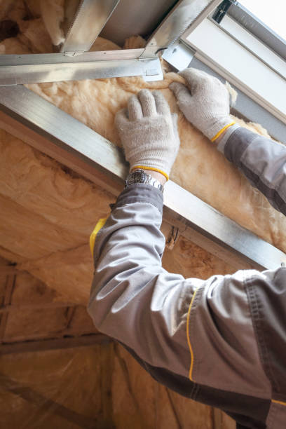 Best Eco-Friendly Insulation in Rio Vista, TX