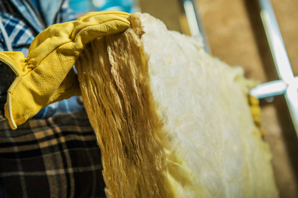 Best Specialized Insulation Services in Rio Vista, TX
